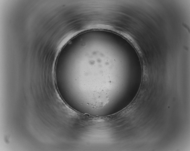 X0000102361199200808081123