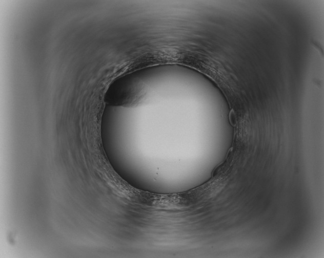 X0000102361201200808081123