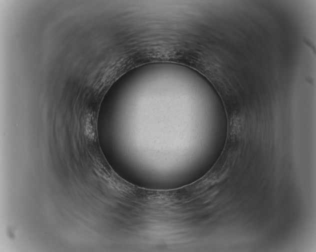 X0000102361202200808081123