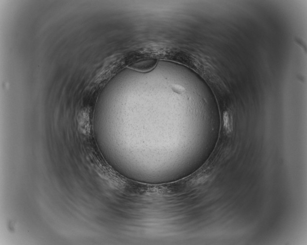 X0000102361203200808081123