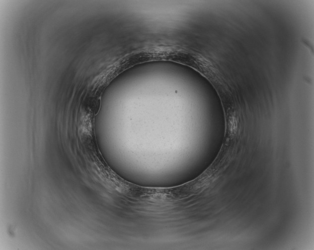 X0000102361204200808081123