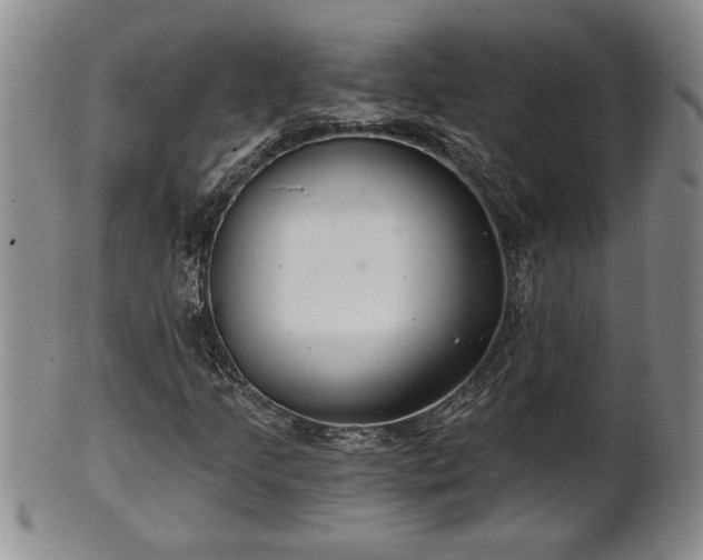 X0000102361205200808081123