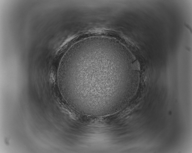 X0000102361206200808081123
