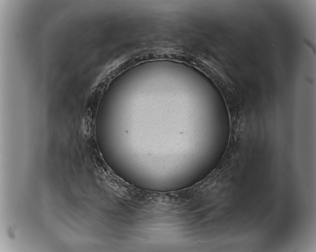 X0000102361207200808081123