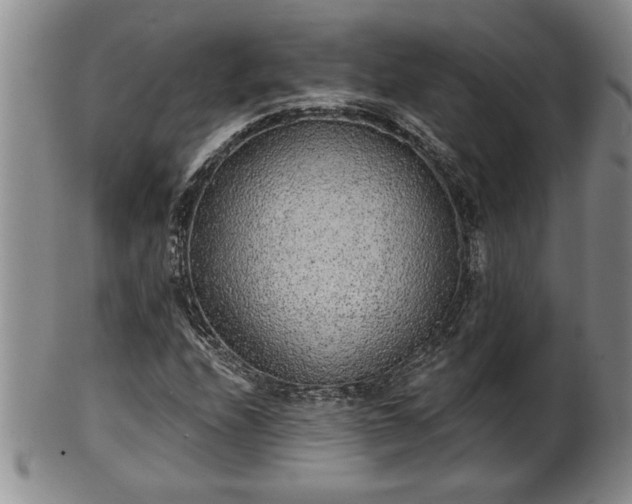 X0000102361208200808081123