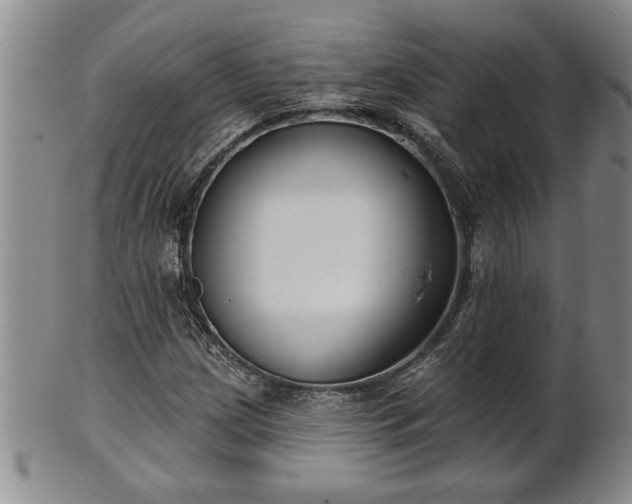 X0000102361209200808081123
