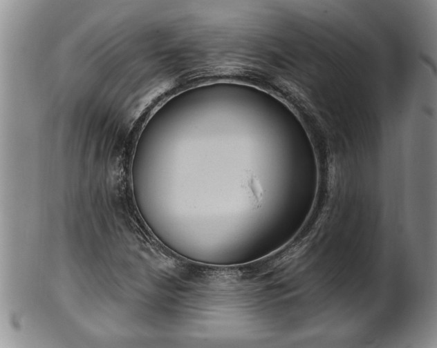 X0000102361210200808081123