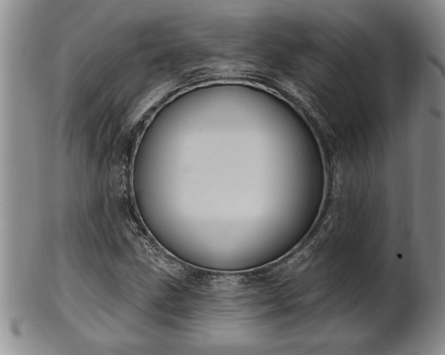 X0000102361211200808081123