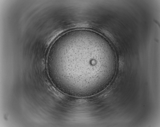 X0000102361212200808081123