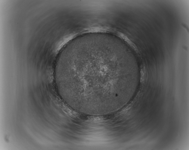 X0000102361213200808081123