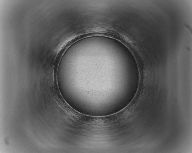 X0000102361214200808081123