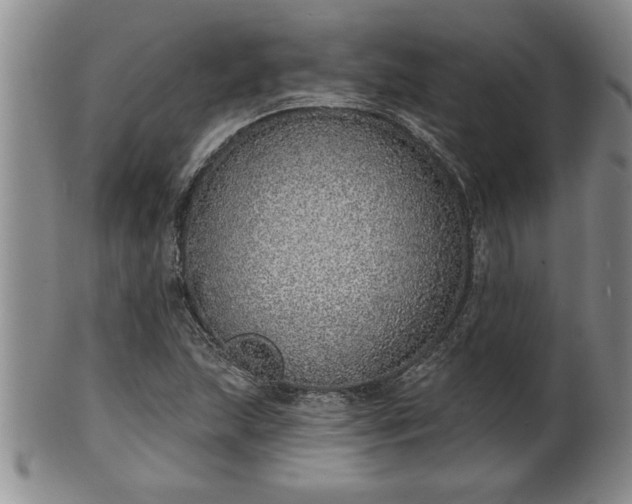 X0000102361215200808081123