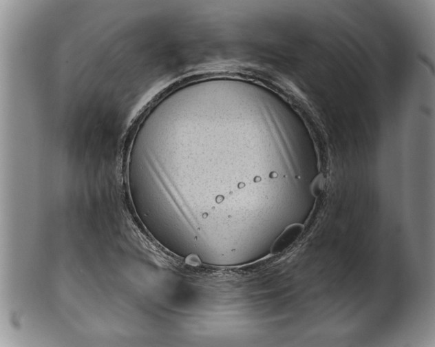 X0000102361216200808081123