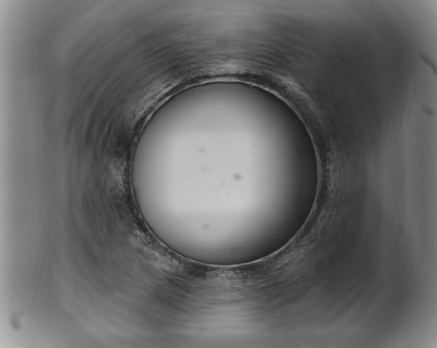 X0000102361217200808081123