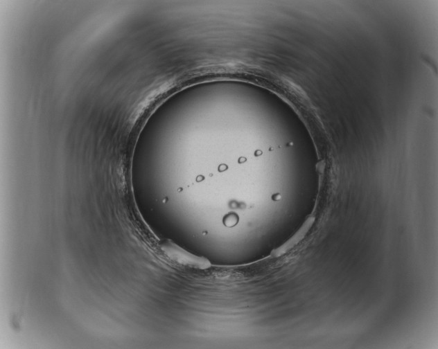 X0000102361218200808081123