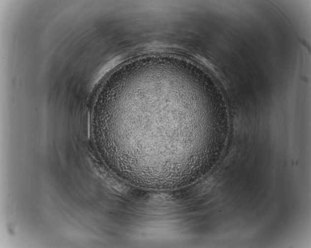 X0000102361219200808081123