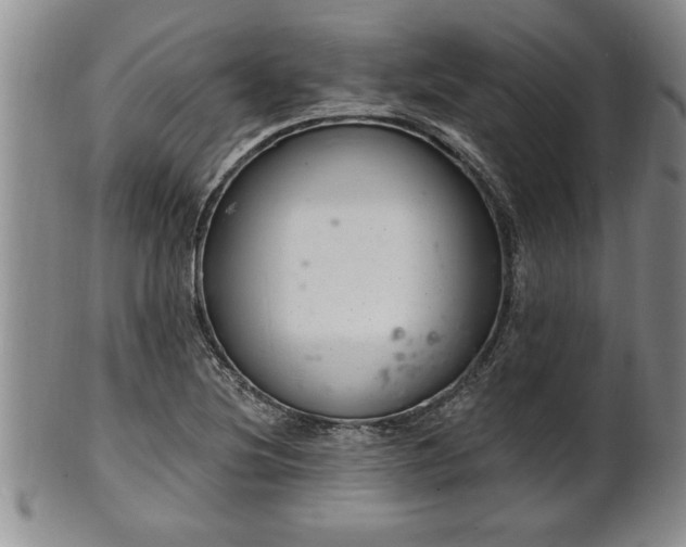 X0000102361220200808081123