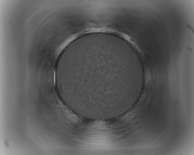 X0000102361221200808081123