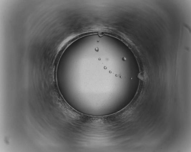 X0000102361222200808081123