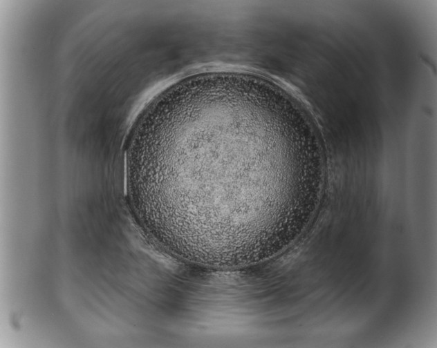 X0000102361223200808081123