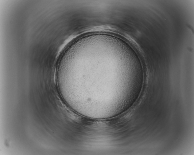 X0000102361224200808081123