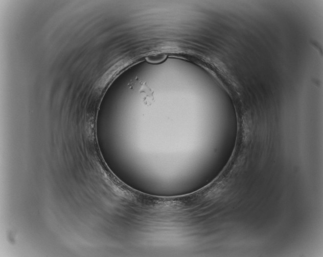 X0000102361225200808081123