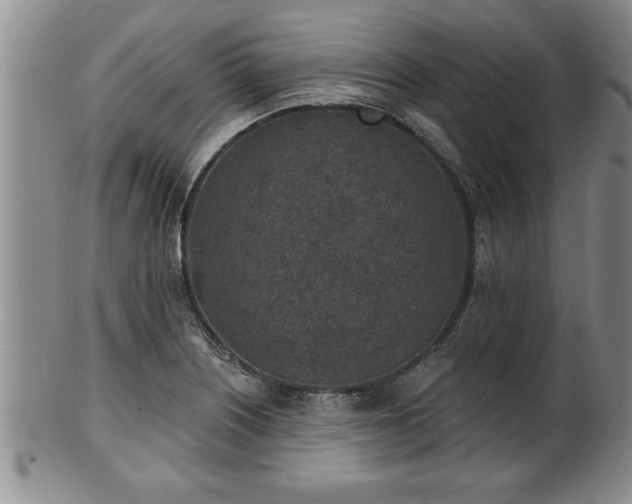 X0000102361226200808081123