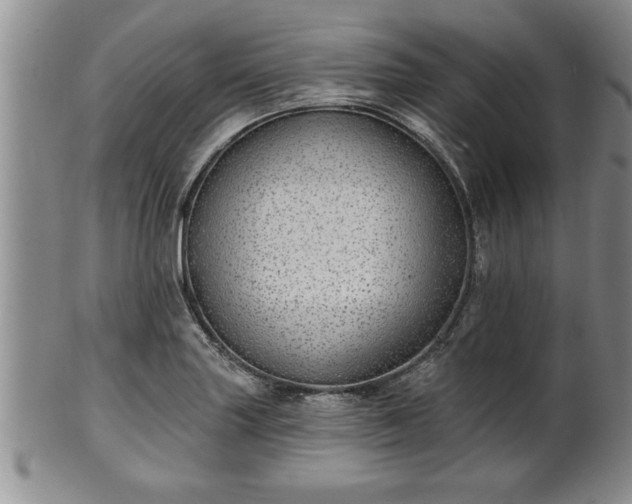X0000102361227200808081123