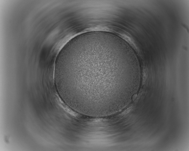X0000102361228200808081123