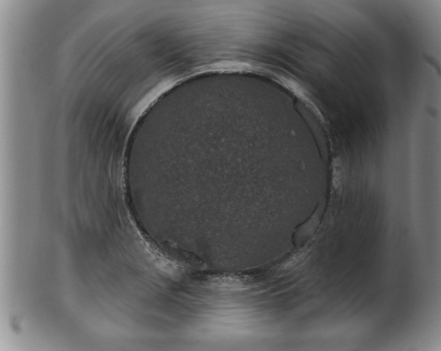 X0000102361229200808081123