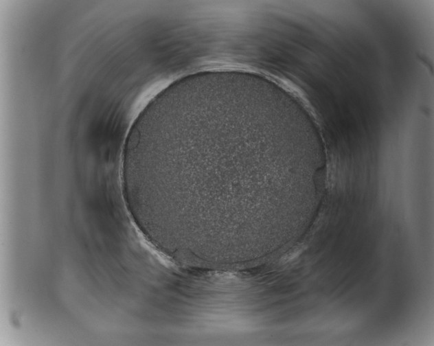 X0000102361231200808081123
