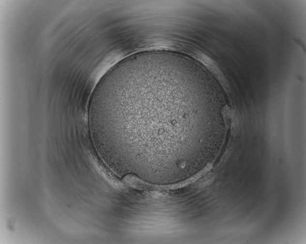 X0000102361234200808081123