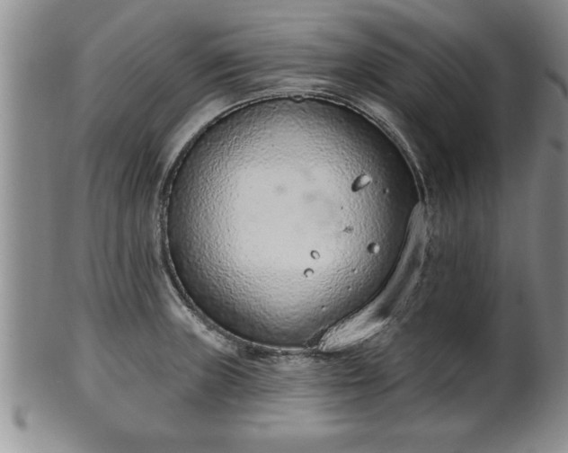 X0000102361235200808081123
