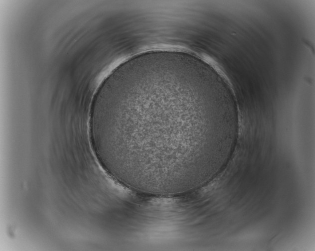X0000102361237200808081123