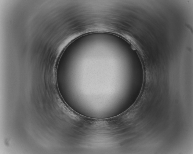 X0000102361238200808081123