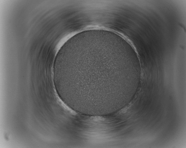 X0000102361239200808081123