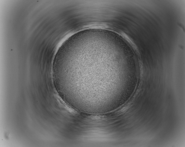 X0000102361240200808081123