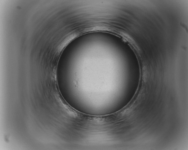 X0000102361241200808081123