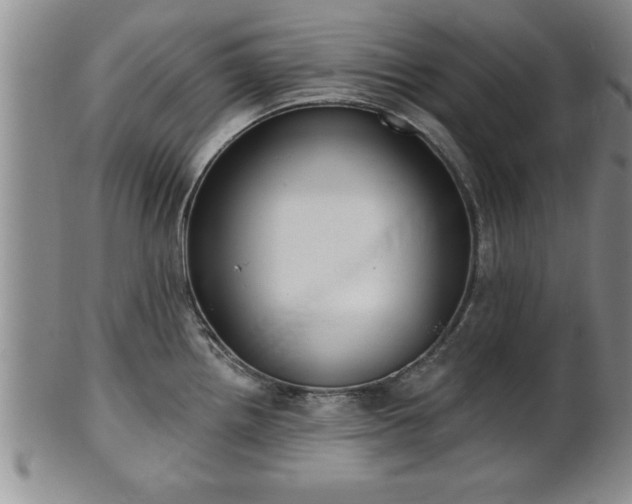 X0000102361242200808081123