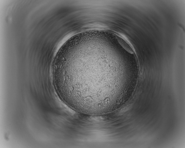 X0000102361243200808081123