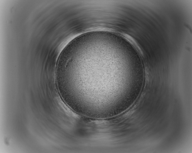 X0000102361244200808081123