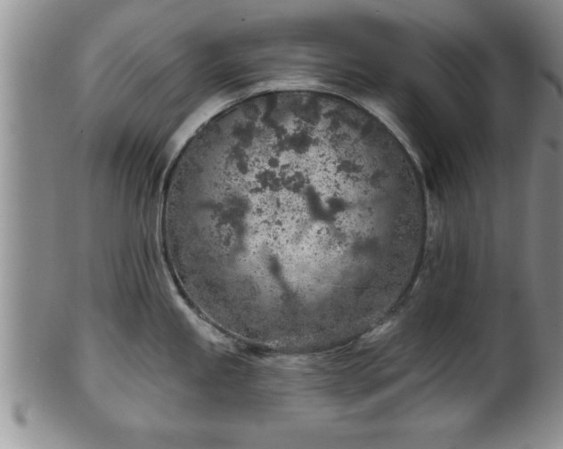 X0000102361245200808081123
