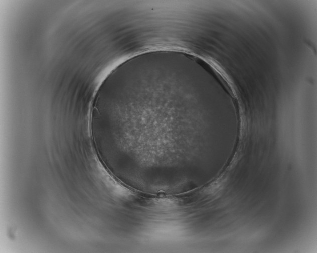 X0000102361246200808081123
