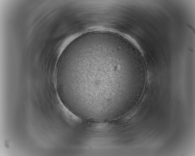X0000102361247200808081123