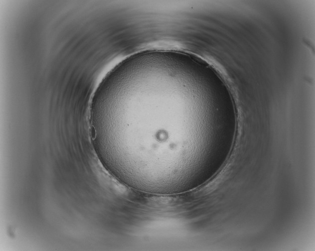 X0000102361248200808081123