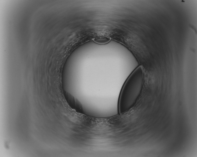 X0000102361249200808081123