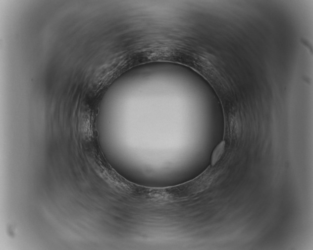X0000102361250200808081123