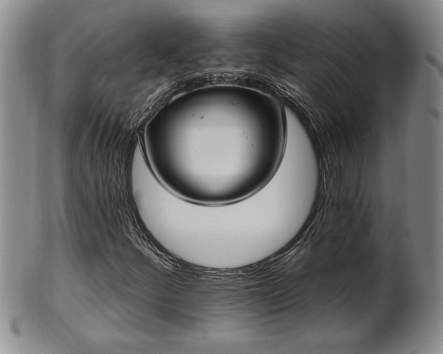 X0000102361252200808081123