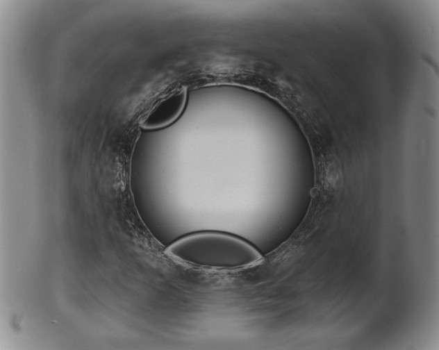 X0000102361253200808081122