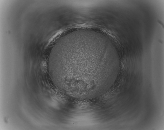 X0000102361254200808081122